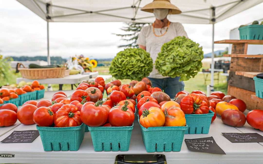 Spend the Day Shopping Farm Stands in the Skagit Valley
