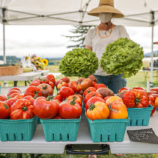 Spend the Day Shopping Farm Stands in the Skagit Valley