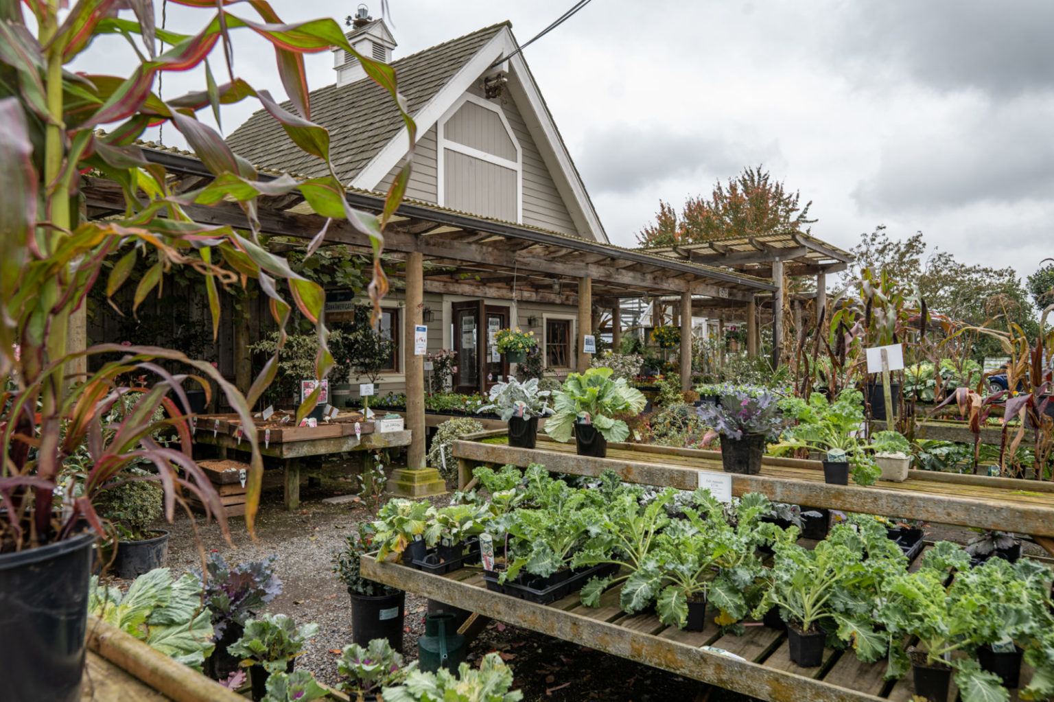 All the Fall Feels on the Skagit Valley Harvest Loop! | Eat, Drink ...