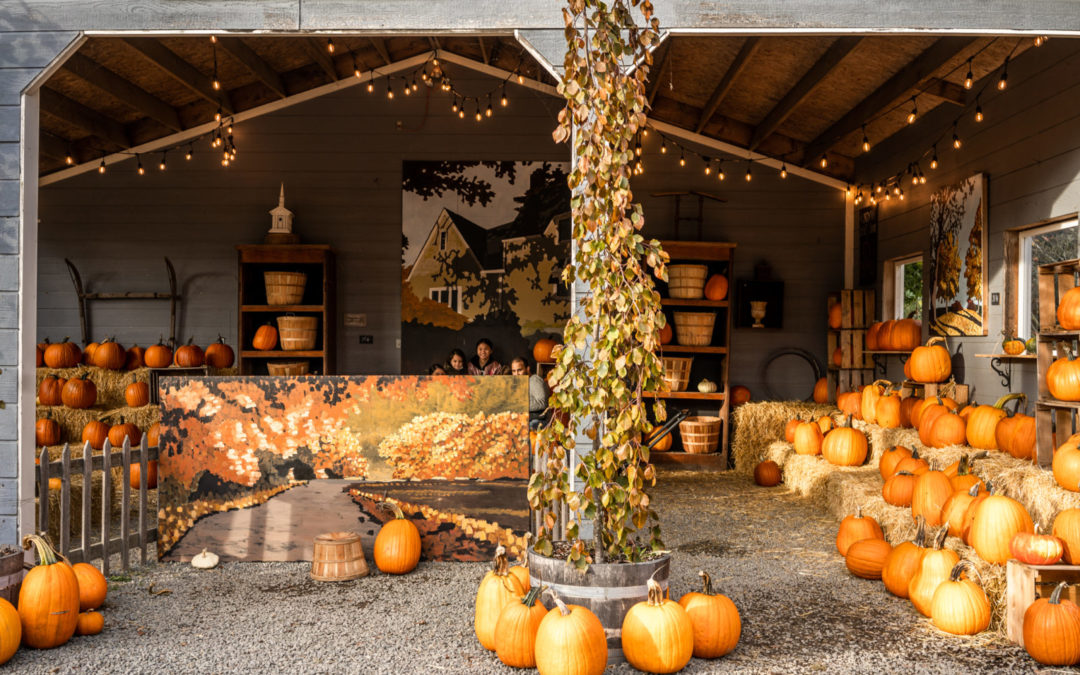 All the Fall Feels on the Skagit Valley Harvest Loop!